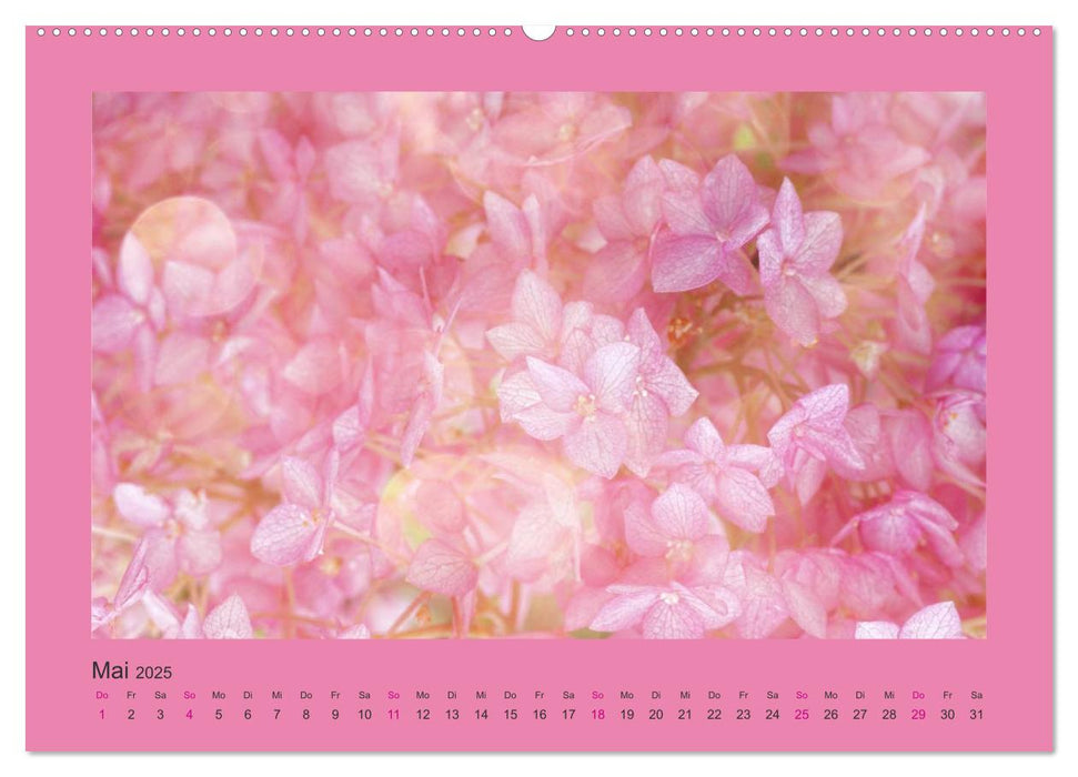 12 Farben (CALVENDO Premium Wandkalender 2025)