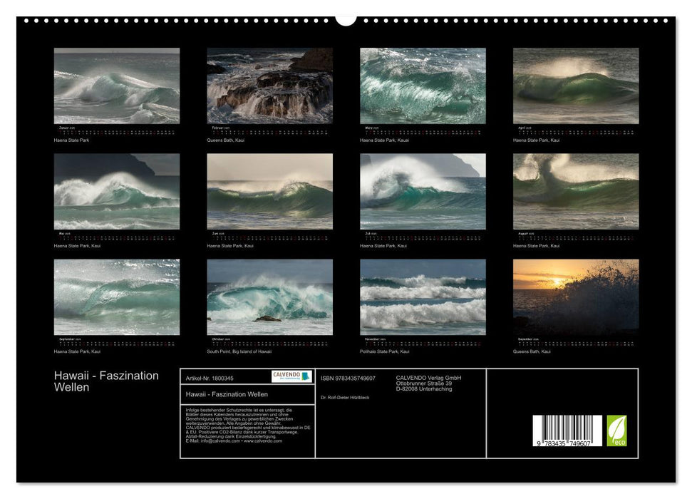 Hawaii - Faszination Wellen (CALVENDO Premium Wandkalender 2025)