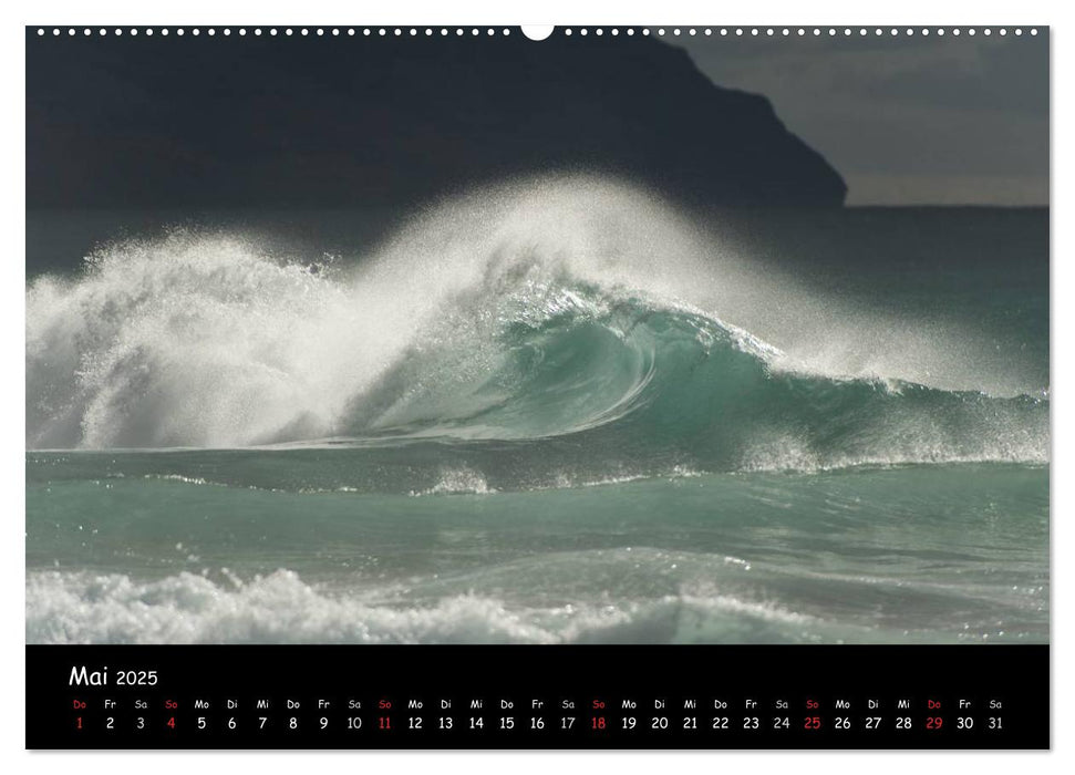 Hawaii - Faszination Wellen (CALVENDO Premium Wandkalender 2025)