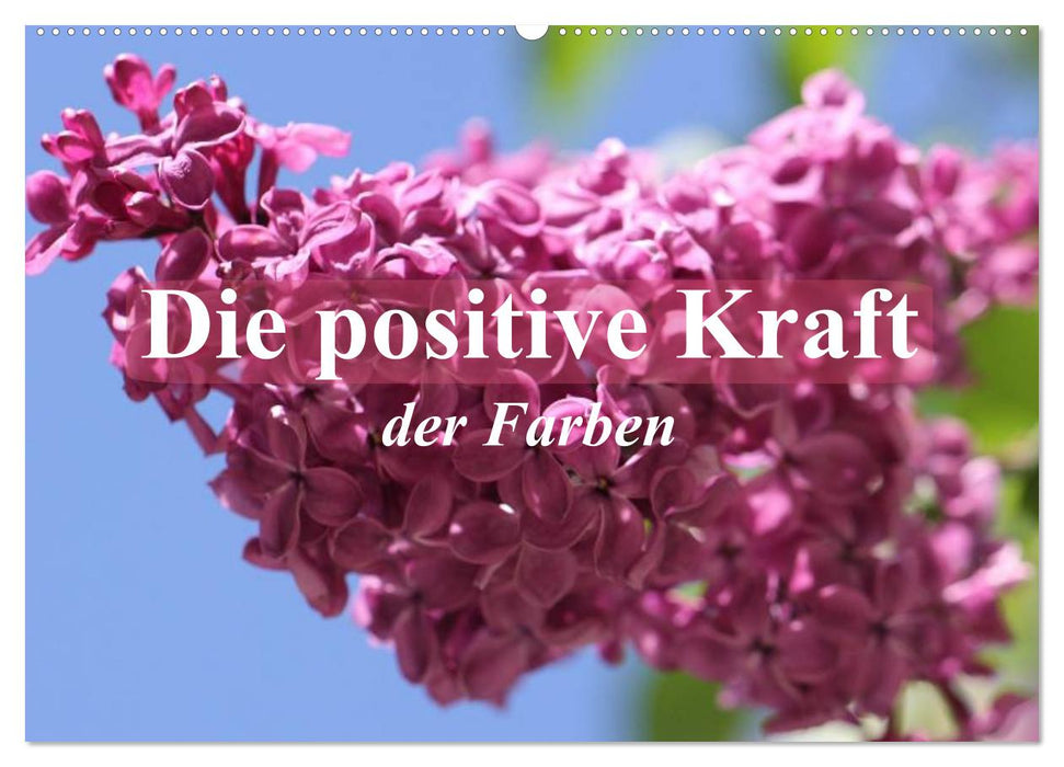 Die positive Kraft der Farben (CALVENDO Wandkalender 2025)