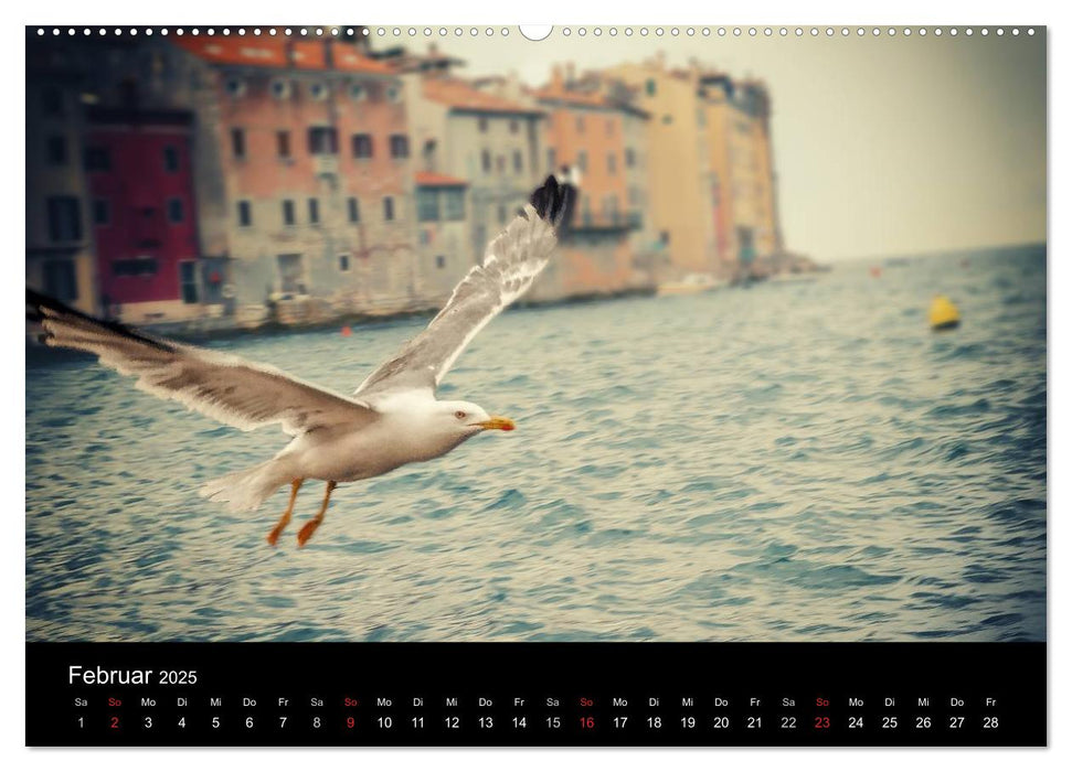 Rovinj Impressionen (CALVENDO Premium Wandkalender 2025)