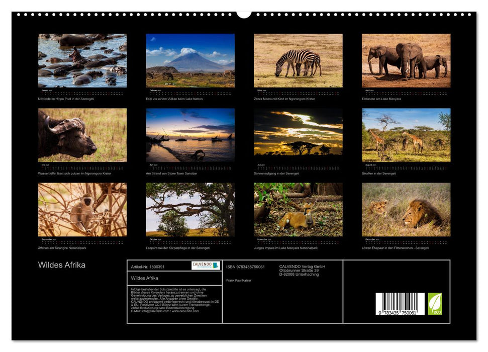 Wildes Afrika (CALVENDO Premium Wandkalender 2025)