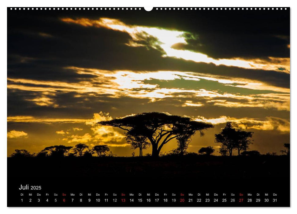 Wildes Afrika (CALVENDO Premium Wandkalender 2025)