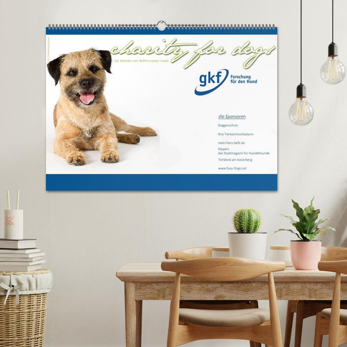 Charity for Dogs - der Kalender zum Wohle unserer Hunde (CALVENDO Wandkalender 2025)