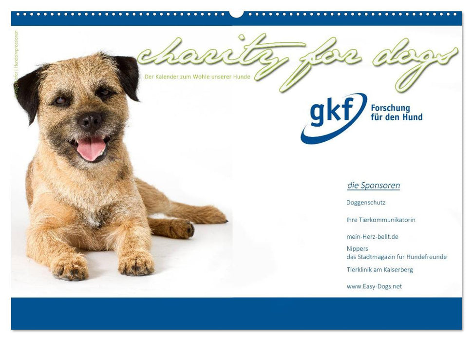 Charity for Dogs - der Kalender zum Wohle unserer Hunde (CALVENDO Wandkalender 2025)