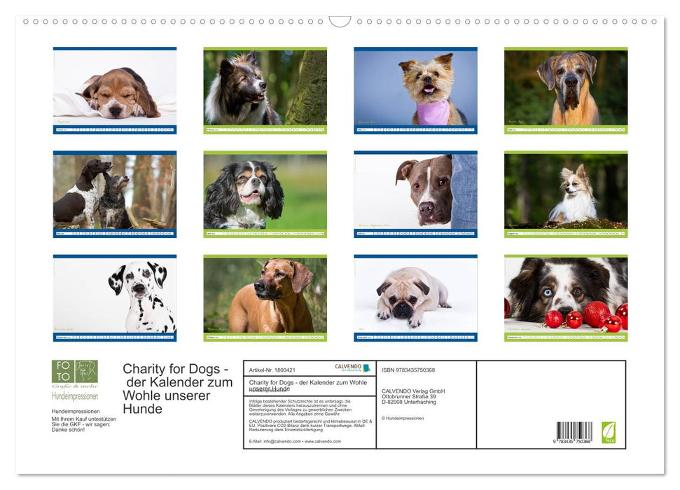 Charity for Dogs - der Kalender zum Wohle unserer Hunde (CALVENDO Wandkalender 2025)