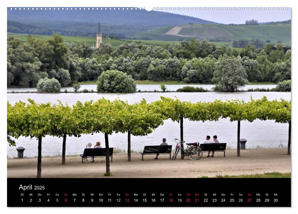 Ingelheim und Umgebung (CALVENDO Premium Wandkalender 2025)