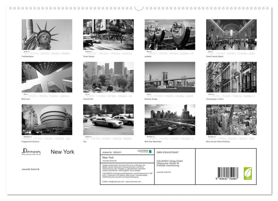 New York (CALVENDO Premium Wandkalender 2025)