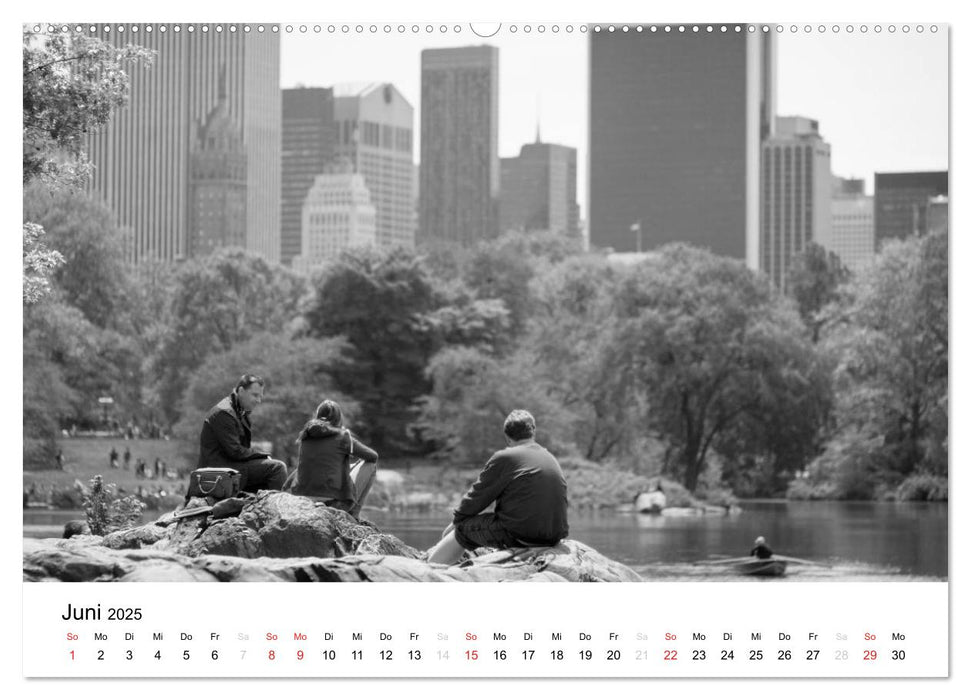 New York (CALVENDO Premium Wandkalender 2025)