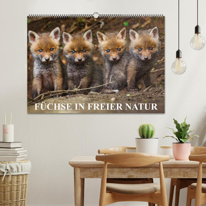 Füchse in freier Natur (CALVENDO Wandkalender 2025)