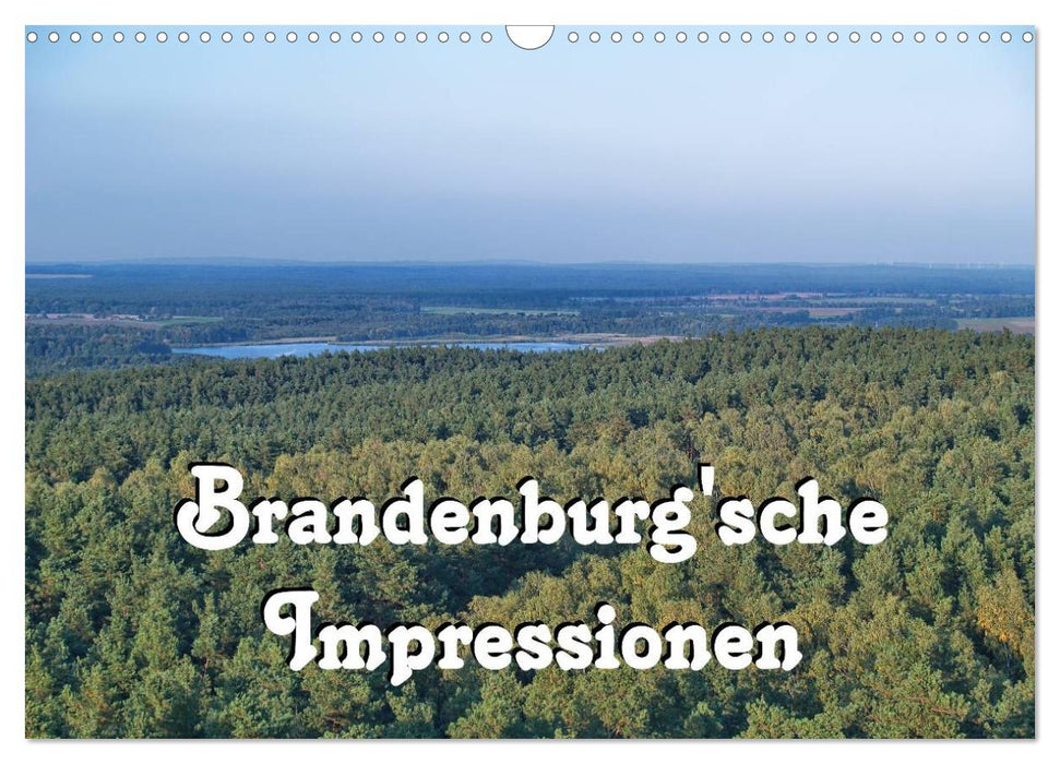 Brandenburg'sche Impressionen (CALVENDO Wandkalender 2025)