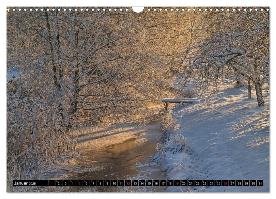 Brandenburg'sche Impressionen (CALVENDO Wandkalender 2025)