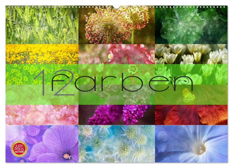 12 Farben (CALVENDO Wandkalender 2025)