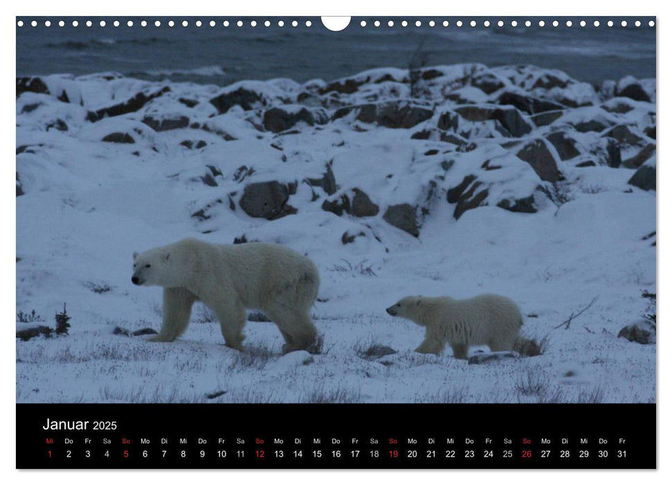 Nordwelten (CALVENDO Wandkalender 2025)