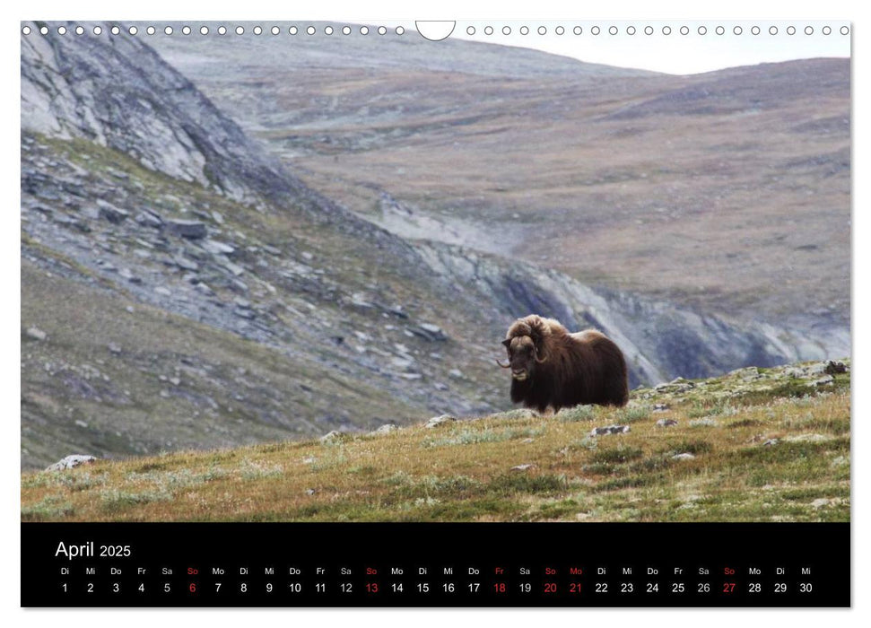 Nordwelten (CALVENDO Wandkalender 2025)