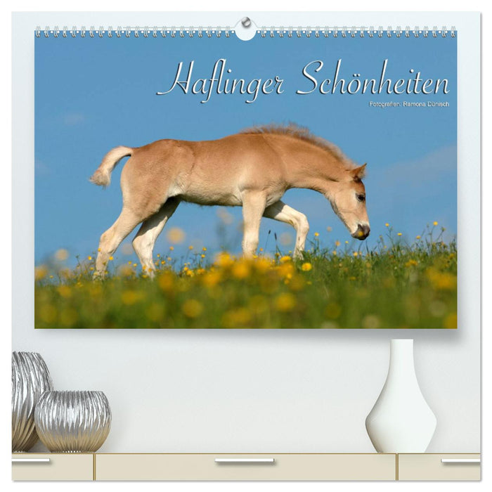 Haflinger Schönheiten (CALVENDO Premium Wandkalender 2025)