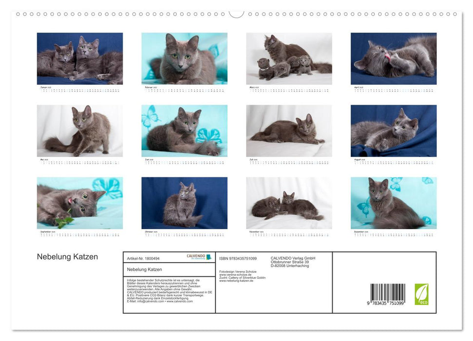 Nebelung Katzen (CALVENDO Premium Wandkalender 2025)