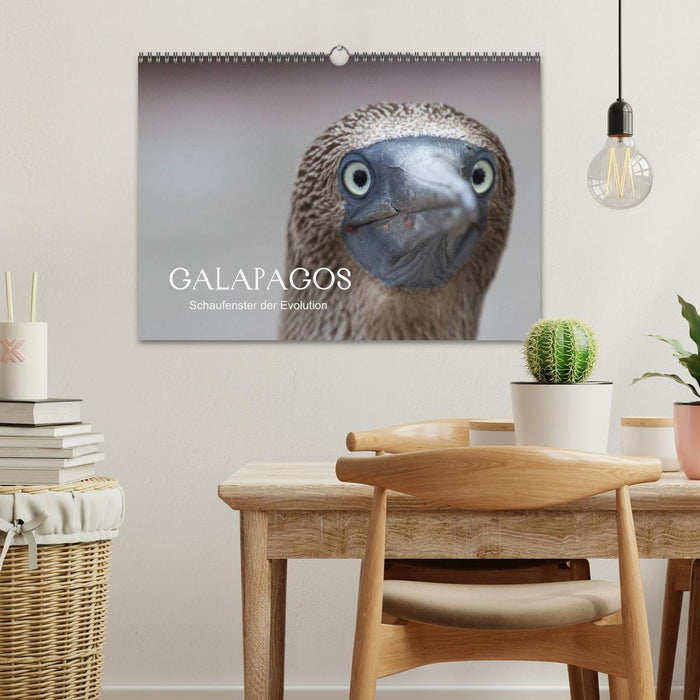 Galapagos (CALVENDO Wandkalender 2025)