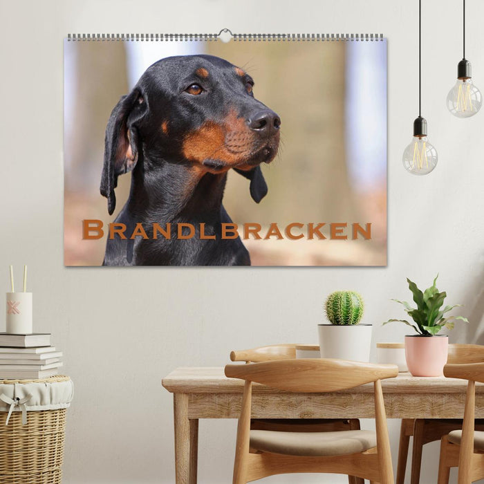 Brandlbracken (CALVENDO Wandkalender 2025)