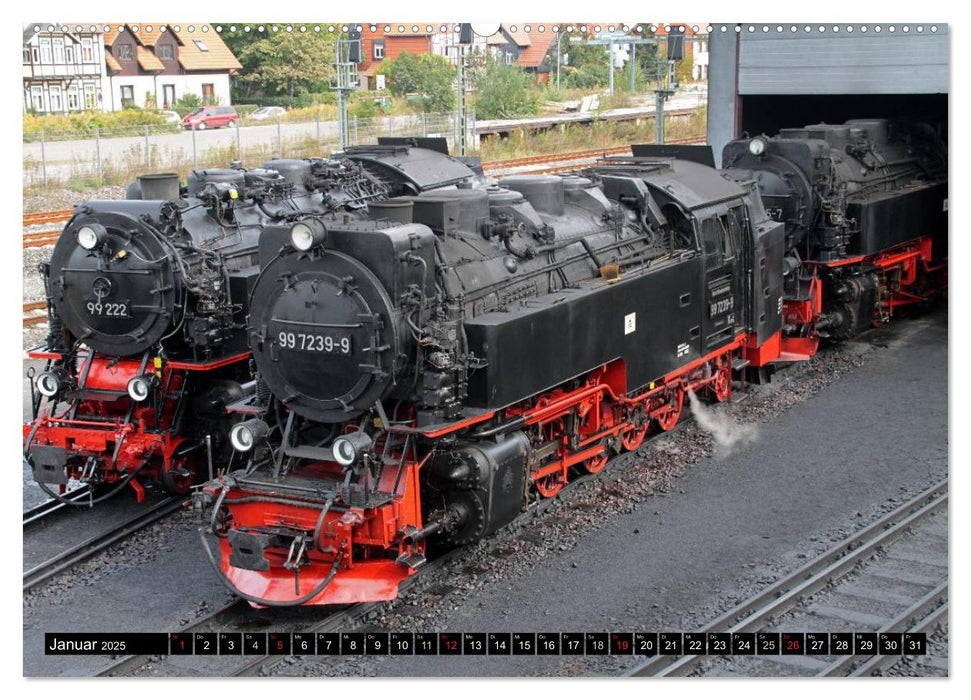 Die Brockenbahn - Mit Volldampf durch den Harz (CALVENDO Premium Wandkalender 2025)