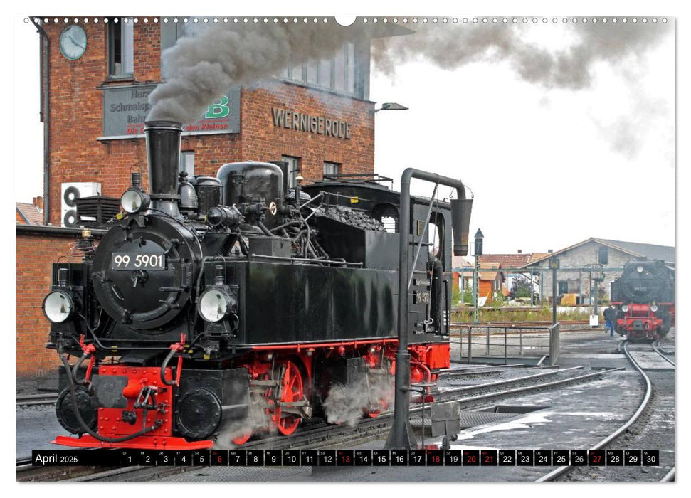 Die Brockenbahn - Mit Volldampf durch den Harz (CALVENDO Premium Wandkalender 2025)