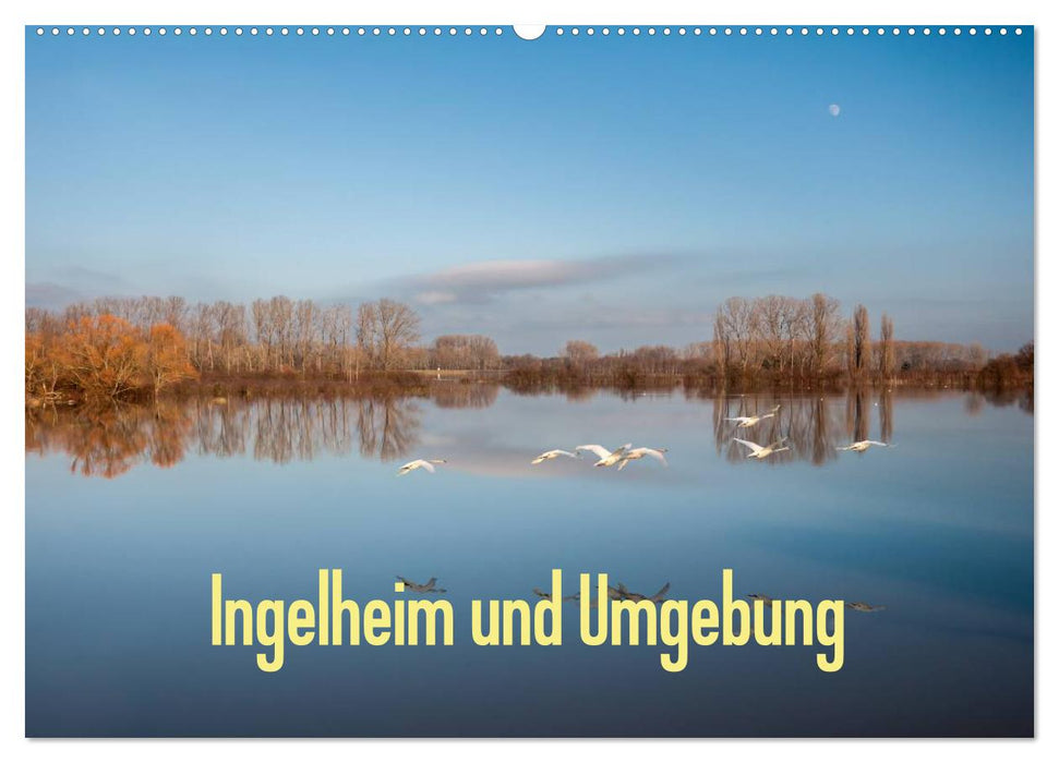 Ingelheim und Umgebung (CALVENDO Wandkalender 2025)