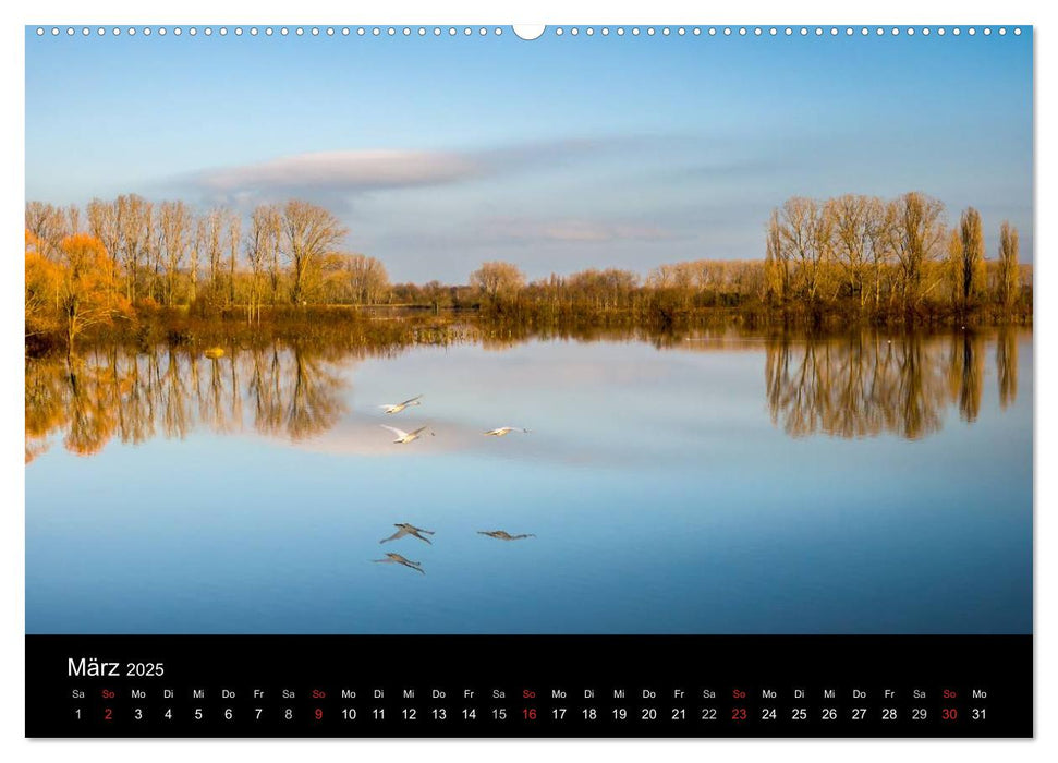 Ingelheim und Umgebung (CALVENDO Wandkalender 2025)