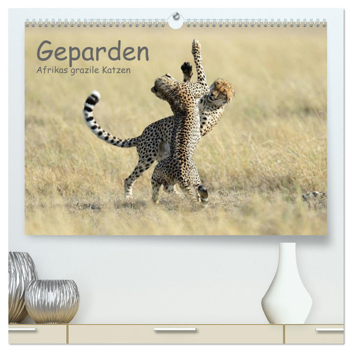 Geparden - Afrikas grazile Katzen (CALVENDO Premium Wandkalender 2025)