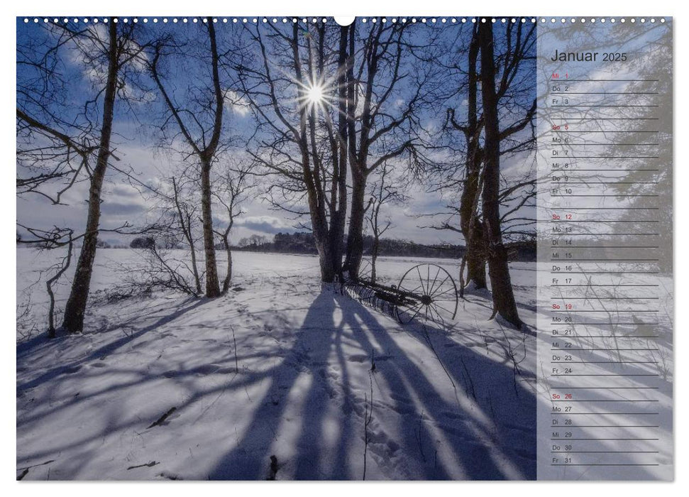 Unser Wald - Magische Sichten in norddeutsche Wälder / Geburtstagskalender (CALVENDO Premium Wandkalender 2025)