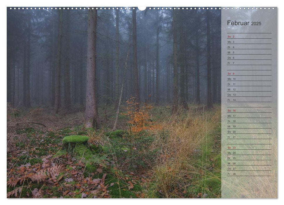 Unser Wald - Magische Sichten in norddeutsche Wälder / Geburtstagskalender (CALVENDO Premium Wandkalender 2025)