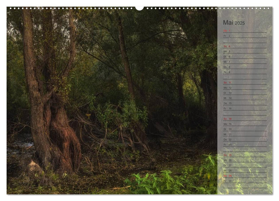 Unser Wald - Magische Sichten in norddeutsche Wälder / Geburtstagskalender (CALVENDO Premium Wandkalender 2025)