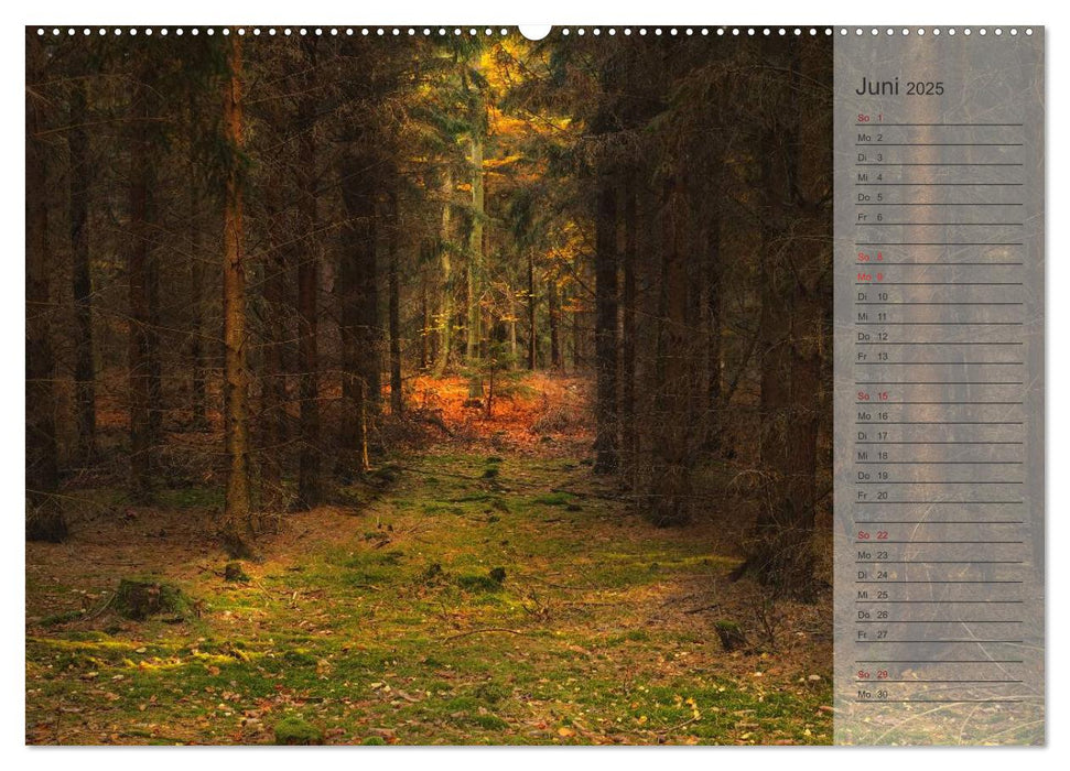 Unser Wald - Magische Sichten in norddeutsche Wälder / Geburtstagskalender (CALVENDO Premium Wandkalender 2025)