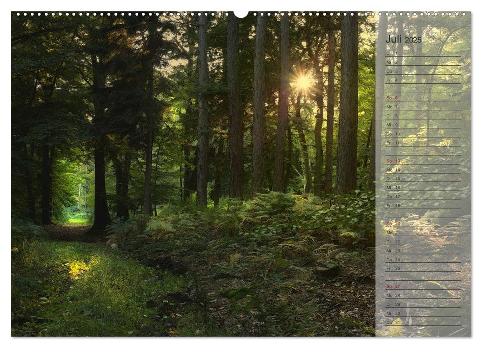 Unser Wald - Magische Sichten in norddeutsche Wälder / Geburtstagskalender (CALVENDO Premium Wandkalender 2025)