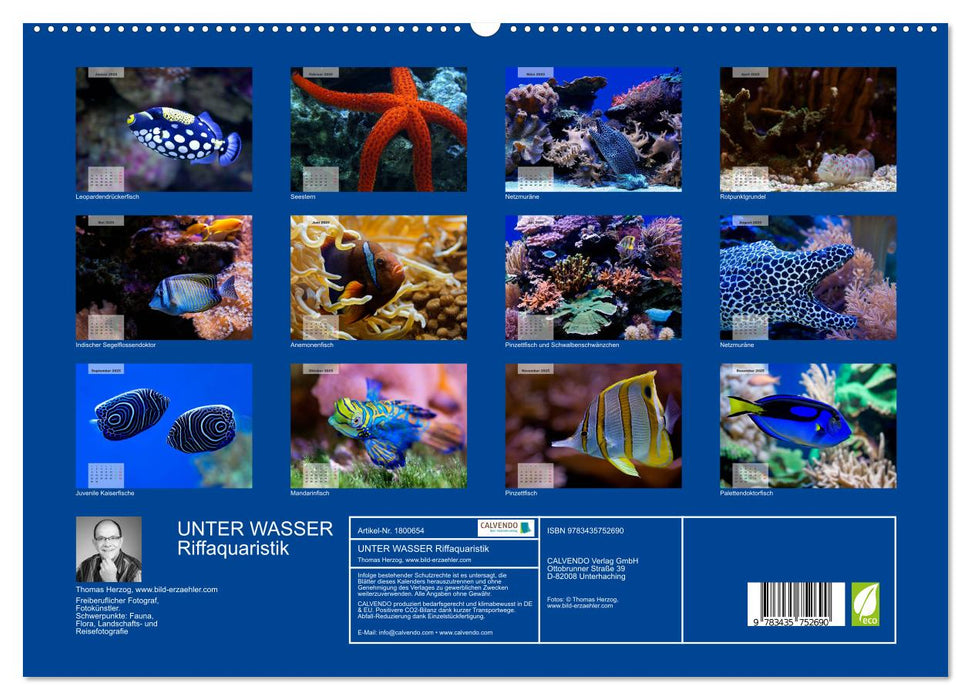 UNTER WASSER Riffaquaristik (CALVENDO Premium Wandkalender 2025)