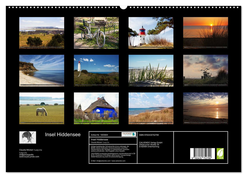 Insel Hiddensee (CALVENDO Premium Wandkalender 2025)