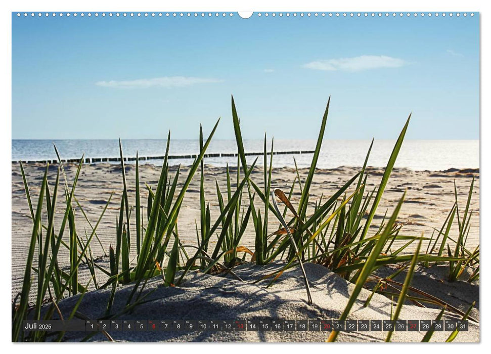 Insel Hiddensee (CALVENDO Premium Wandkalender 2025)