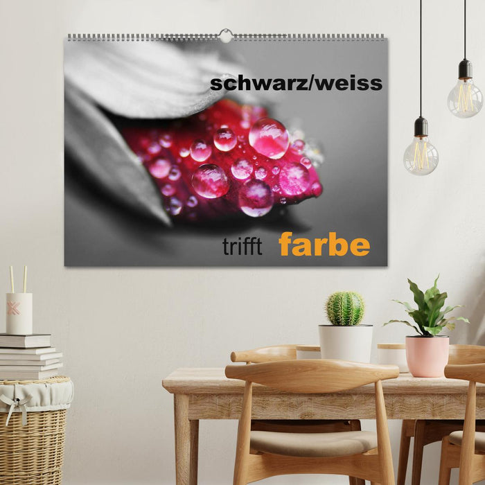 schwarz/weiß trifft farbe (CALVENDO Wandkalender 2025)