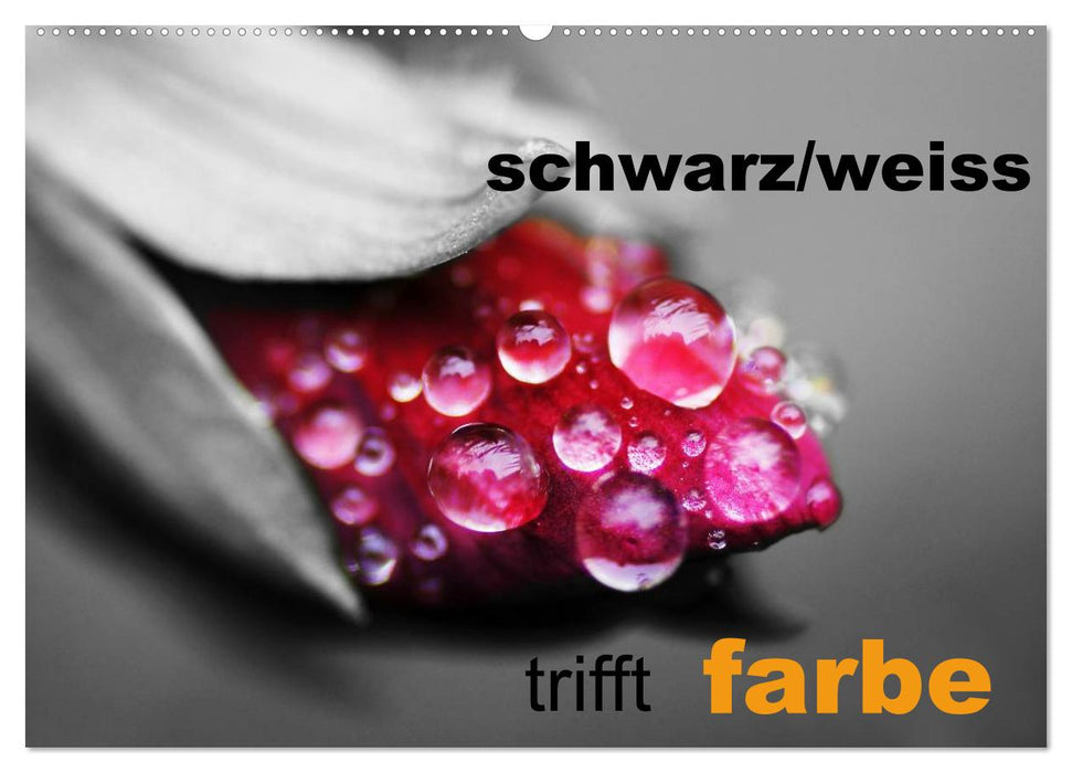 schwarz/weiß trifft farbe (CALVENDO Wandkalender 2025)