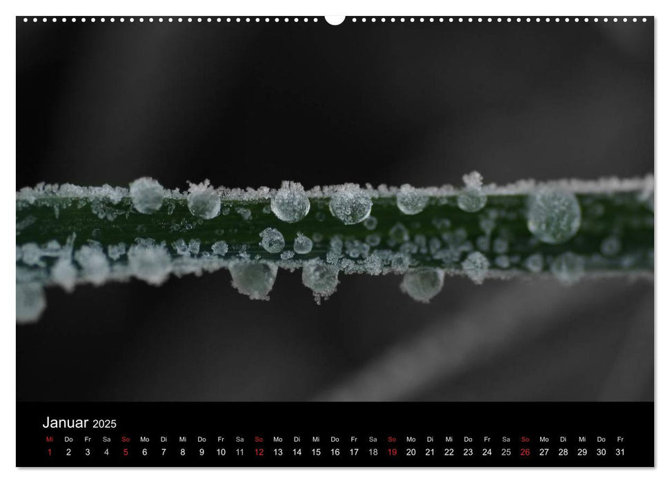 schwarz/weiß trifft farbe (CALVENDO Wandkalender 2025)