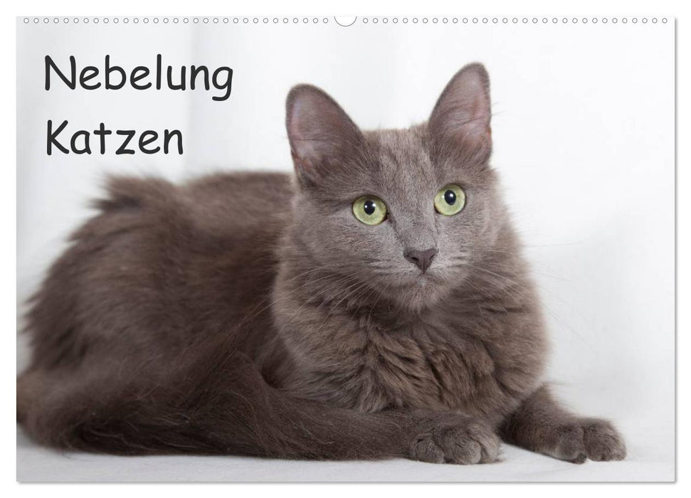 Nebelung Katzen (CALVENDO Wandkalender 2025)