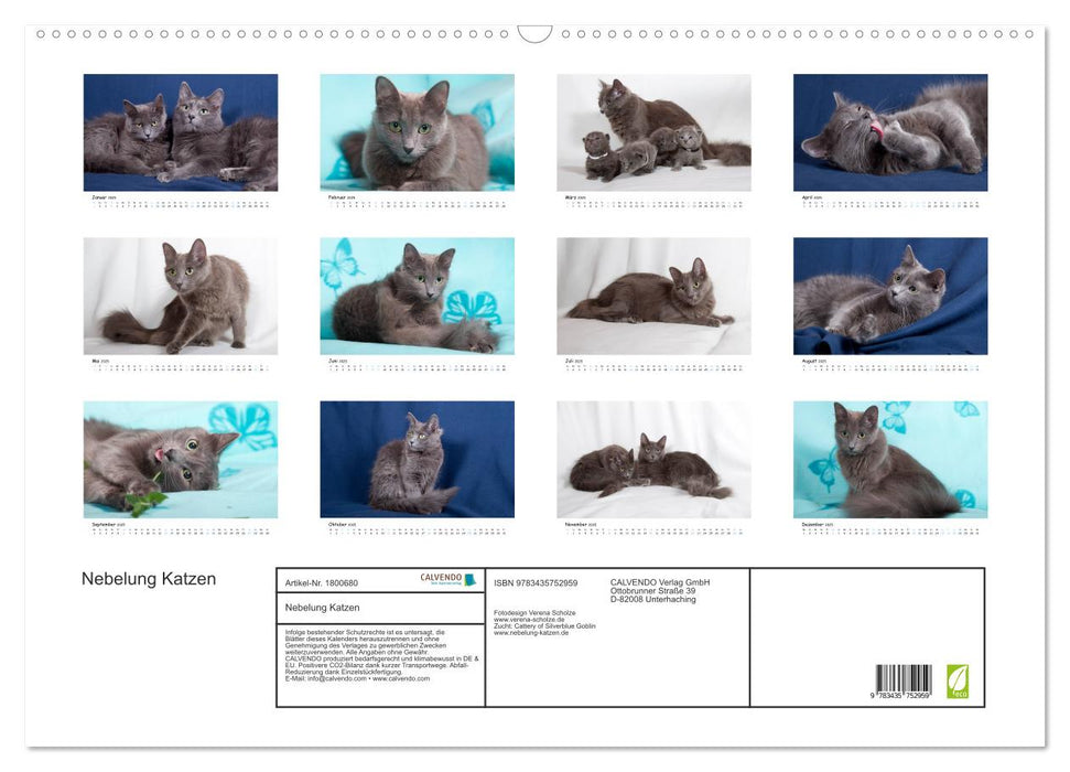 Nebelung Katzen (CALVENDO Wandkalender 2025)