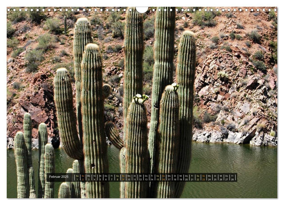 Apache Trail, Arizona, USA 2025 (CALVENDO Wandkalender 2025)