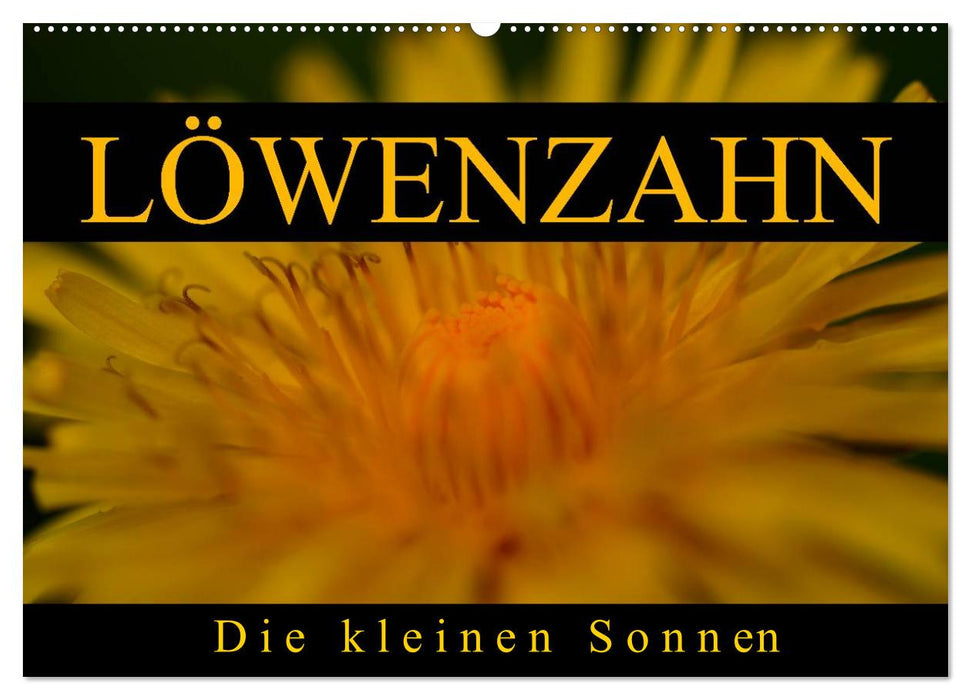 Löwenzahn - Die kleinen Sonnen (CALVENDO Wandkalender 2025)