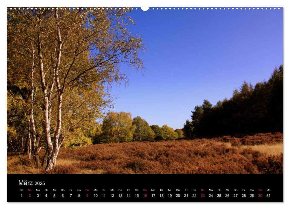 Indian Summer - Die Farben des Herbstes (CALVENDO Premium Wandkalender 2025)