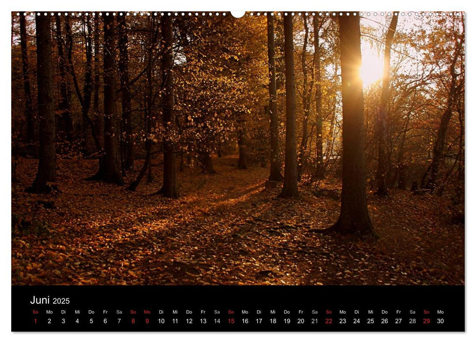 Indian Summer - Die Farben des Herbstes (CALVENDO Premium Wandkalender 2025)