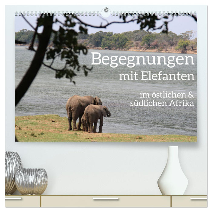 begegnungen - elefanten im südlichen afrika (CALVENDO Premium Wandkalender 2025)