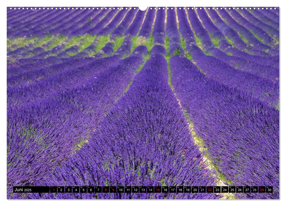 Provence (CALVENDO Premium Wandkalender 2025)