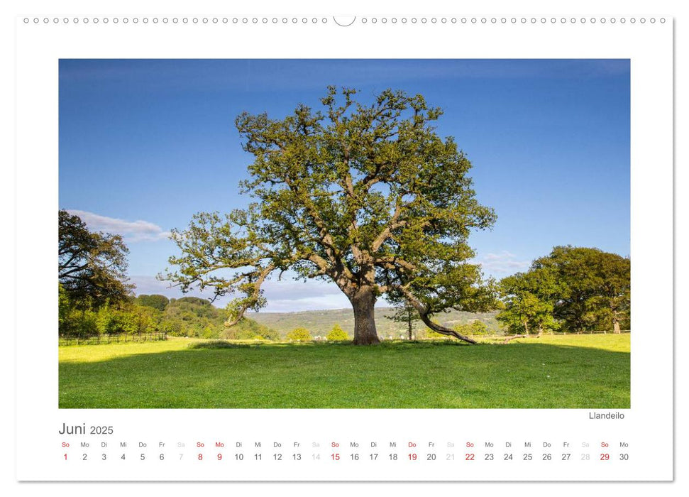 Wales / AT-Version (CALVENDO Premium Wandkalender 2025)