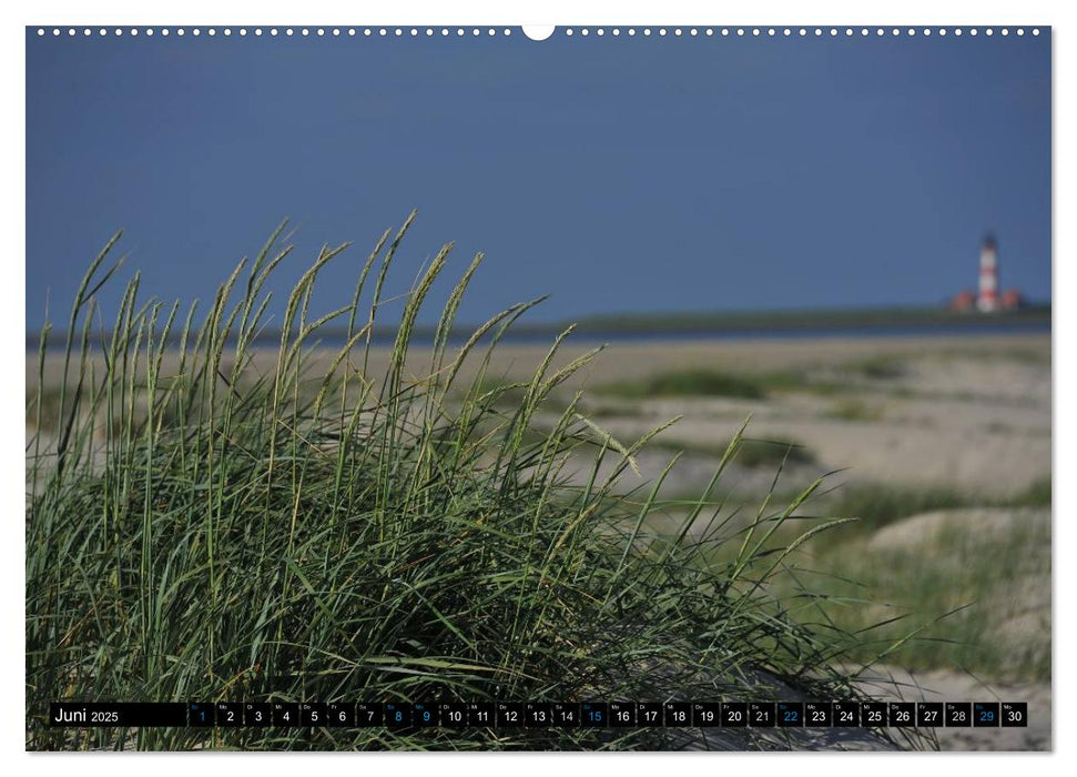 St. Peter Ording (CALVENDO Premium Wandkalender 2025)