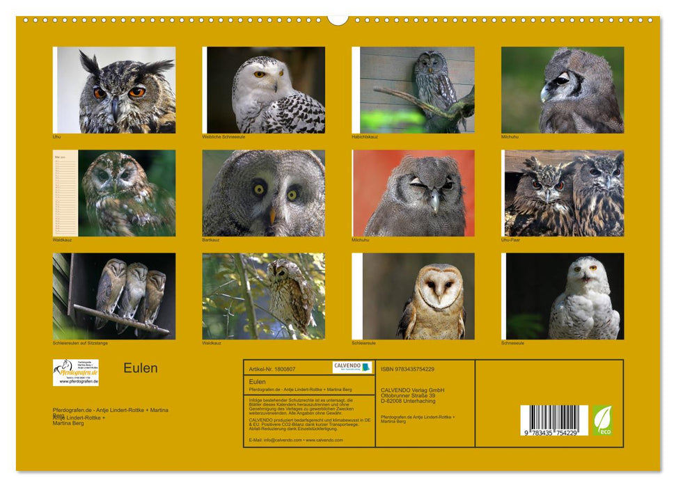 Eulen (CALVENDO Premium Wandkalender 2025)